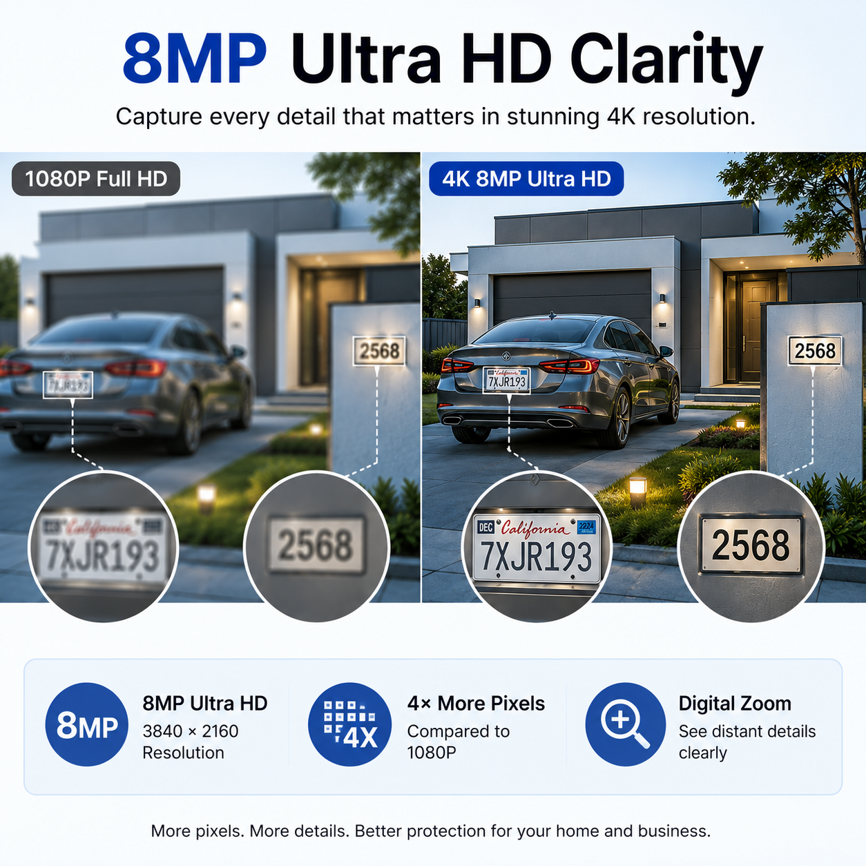 DL-8MP - Imagen 2
